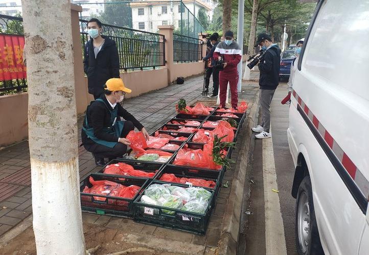 标题：生鲜配送 宅家的同城“菜篮子”