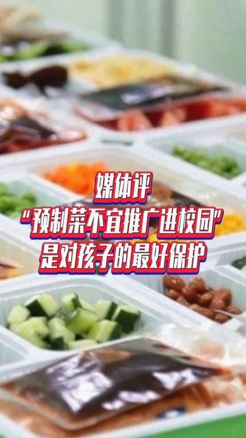 标题：预制菜进校园引争议，更安全还是埋下隐患？