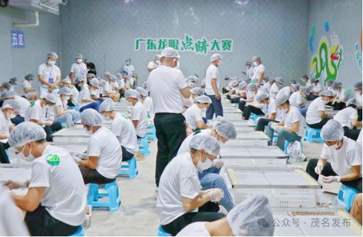 标题：广东众汇食品配送有限公司中标高州市第四中学食堂食材配送服务项目，金额8.2万元